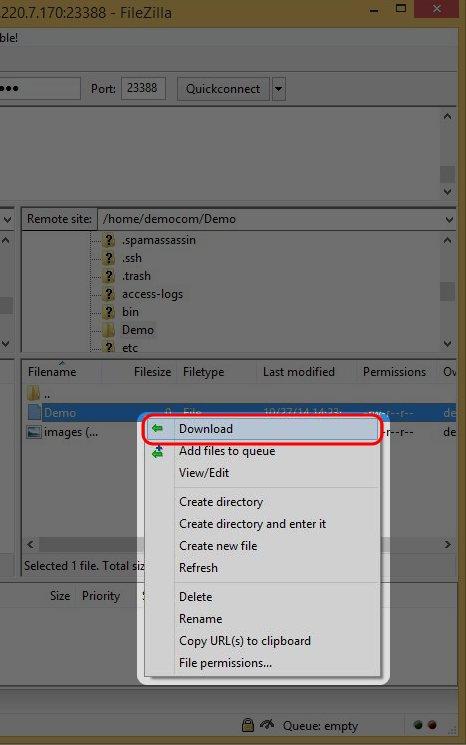 To download file from the remote server, right click on the selected file, then select “Download”.
