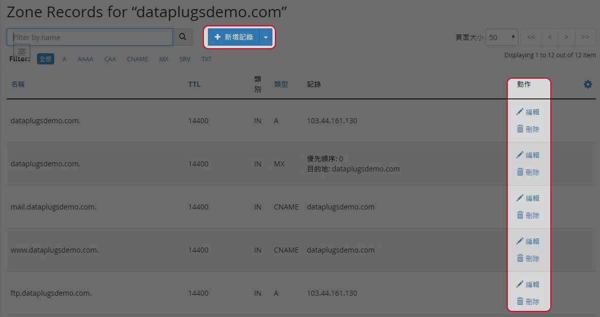 新增或編輯或刪除DNS項目。
