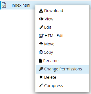 Select the file or folder you would like to change the permission. Right click on the file name you would like to edit. Click on “Change Permissions”.
