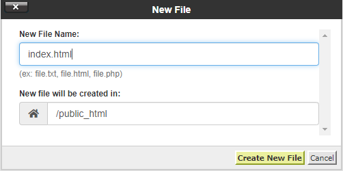 Name the new file or new folder and click on “Create New File” or “Create New Folder” button.
Name the new file or new folder and click on “Create New File” or “Create New Folder” button.