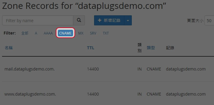 於 Filter 選取”CNAME“。
