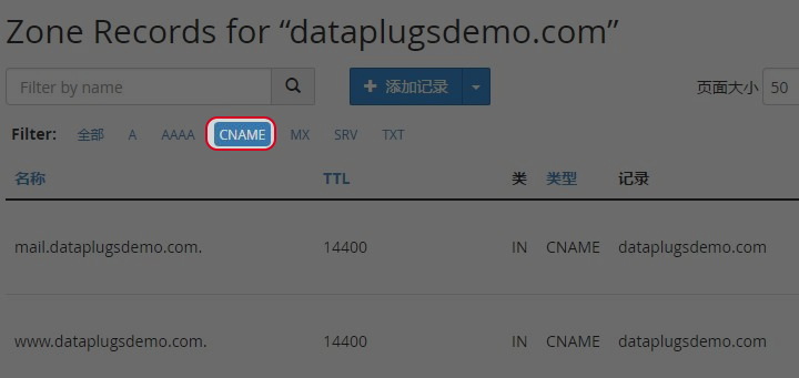 於Filter 选取 “CNAME”。
於Filter 选取 “CNAME”。