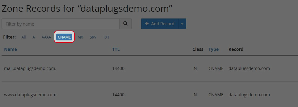Selete “CNAME” in Filter.
