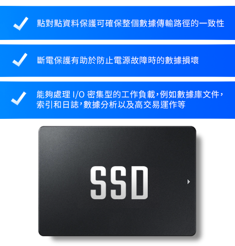 企業級 SSD 儲存伺服器 企業級 SSD 儲存伺服器