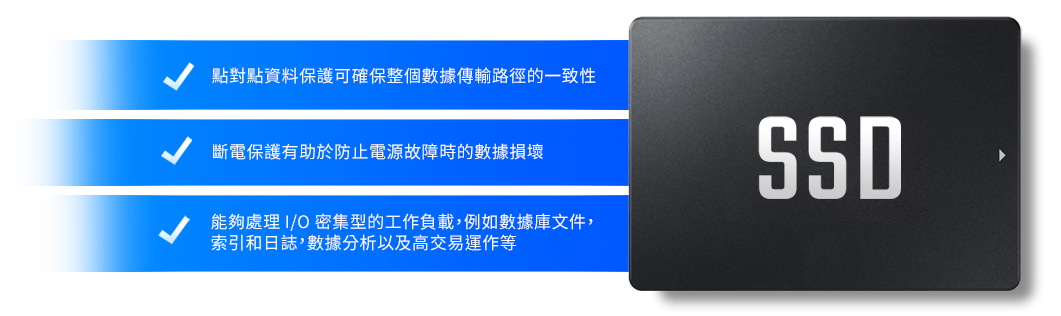 企業級 SSD 儲存伺服器 企業級 SSD 儲存伺服器