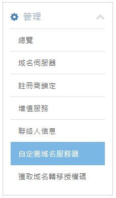 點擊 “自定義域名服務器”。
