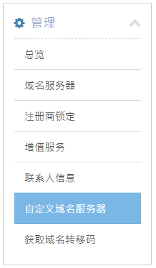 点击 “自定义域名服务器”。
