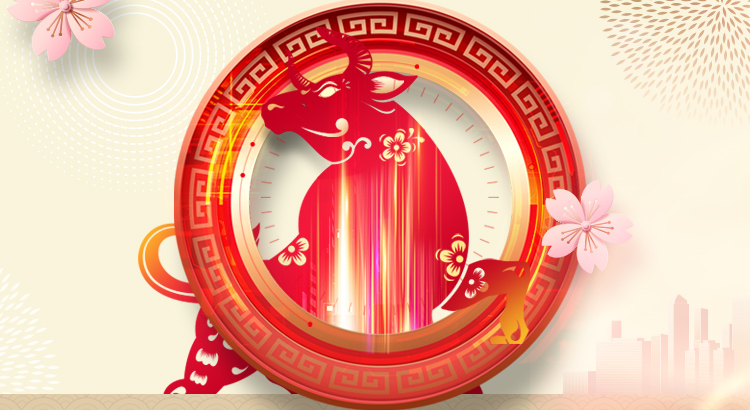 PowerEdge Dedicated Server Lunar New Year Sale