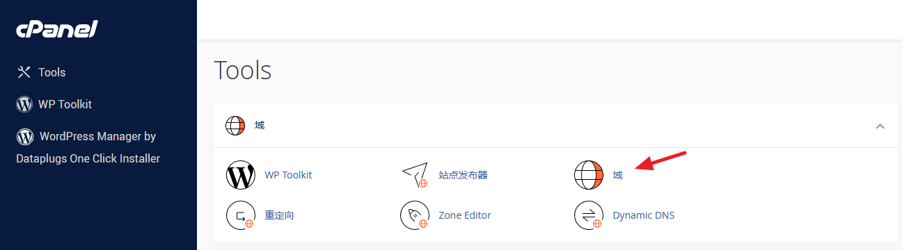 于域名区域点选“域”。
