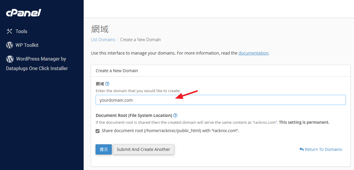 於 “網域” 輸入您要存放的新域名。
